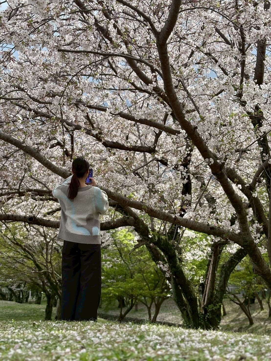 Yukari Hayashi